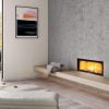 ADF Linea 100 Duo Insert Fireplace