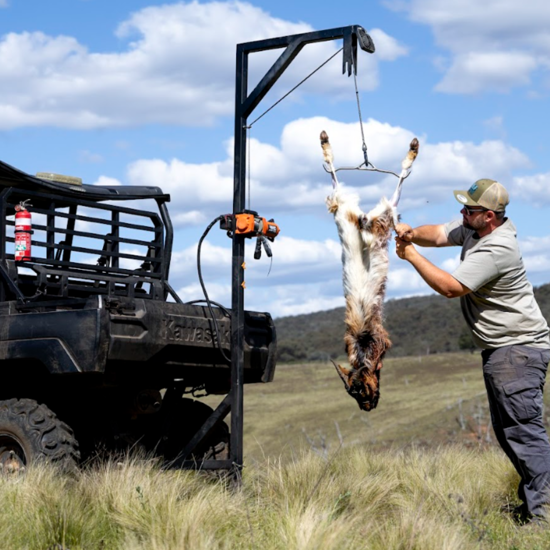 Carnivore Collective Butchering Animal Hoist (1)