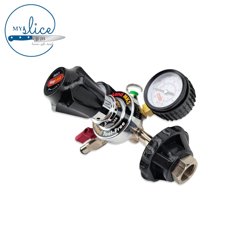 MK5 Gas Regulator CO2 (1)